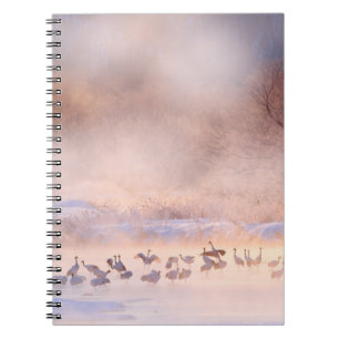Japan Winter Natur. Wildtierszene, schneebedeckte Notizblock