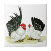 Japaner Blacktail Zwerghühner Fliese (Vorderseite)