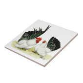 Japaner Blacktail Zwerghühner Fliese (Seite)