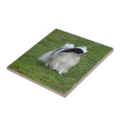 Japaner Chin Fliese (Seite)