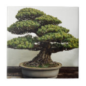 Japaner-White Pine-Bonsais-Baum Fliese (Vorderseite)