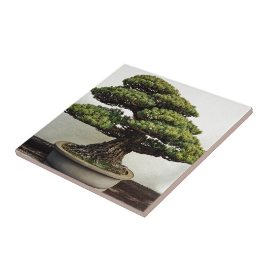 Japaner-White Pine-Bonsais-Baum Fliese (Seite)
