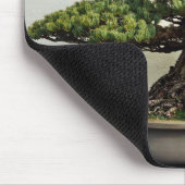 Japaner-White Pine-Bonsais-Baum Mousepad (Ecke)