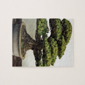 Japaner-White Pine-Bonsais-Baum Puzzle (Horizontal)