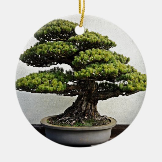 Japaner-White Pine-Bonsais Keramikornament (Vorne)