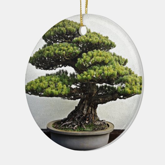 Japaner-White Pine-Bonsais Keramikornament (Links)