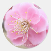 Japanese Apricot [Round Seal] Runder Aufkleber (Vorderseite)