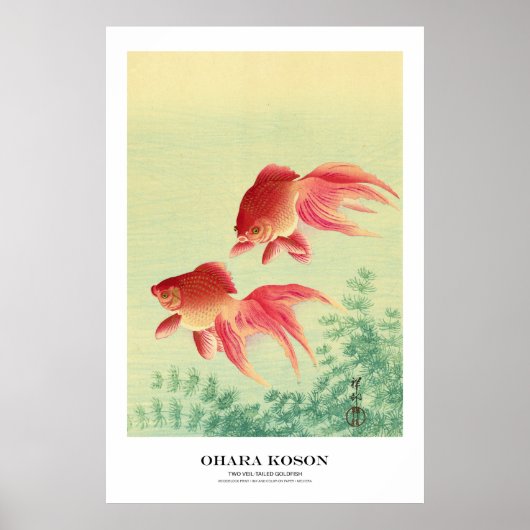 Japanese Art Print - Ohara Koson - Goldfish Poster (Vorne)