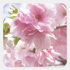 Japanese cherry blossoms quadratischer aufkleber