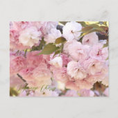 Japanese Cherry Postkarte (Vorderseite)