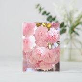 Japanese Cherry Postkarte (Stehend Vorderseite)