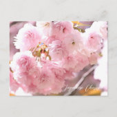 Japanese Cherry Postkarte (Vorderseite)
