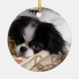 Japanese_chin puppy.png keramik ornament