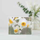 Japanese Daffodils Postkarte (Stehend Vorderseite)
