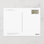 Japanese Daffodils Postkarte (Rückseite)