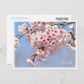 Japanese Flowering Cherry Postkarte (Vorne/Hinten)