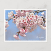 Japanese Flowering Cherry Postkarte (Vorderseite)