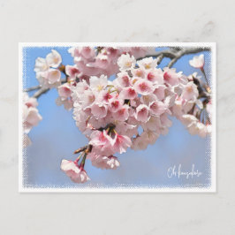 Japanese Flowering Cherry Postkarte
