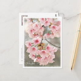 Japanese Flowering Cherry Postkarte