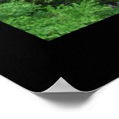 Japanese Garden Bench Poster (Ecke)