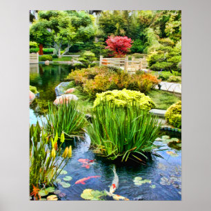 Japanese Garden Pond with Koi HDR july 10 Poster