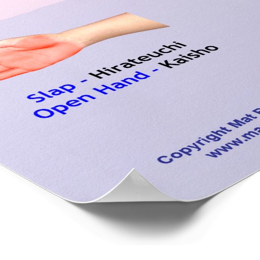 Japanese Hand Forms Poster (Ecke)
