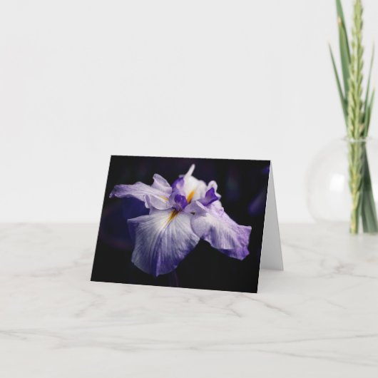 Japanese Iris Beauty Flower Photography Note Karte (Vorderseite)