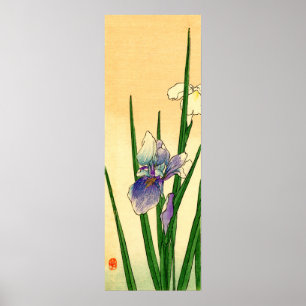 Japanese Iris no.1 Poster