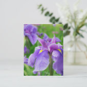Japanese iris postkarte (Stehend Vorderseite)