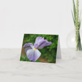 Japanese Iris Unfolding Flower Photography (Vorderseite)