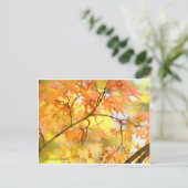 Japanese Maple: Autumn Leaves Postkarte (Stehend Vorderseite)
