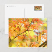 Japanese Maple: Autumn Leaves Postkarte (Vorne/Hinten)