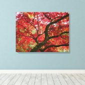 Japanese Maple Canvas Print Leinwanddruck (Insitu (Holzboden))