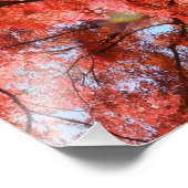 Japanese Maple Fotodruck (Ecke)