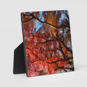 Japanese Maple Fotoplatte (Vorderseite)