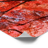 Japanese Maple Poster (Ecke)
