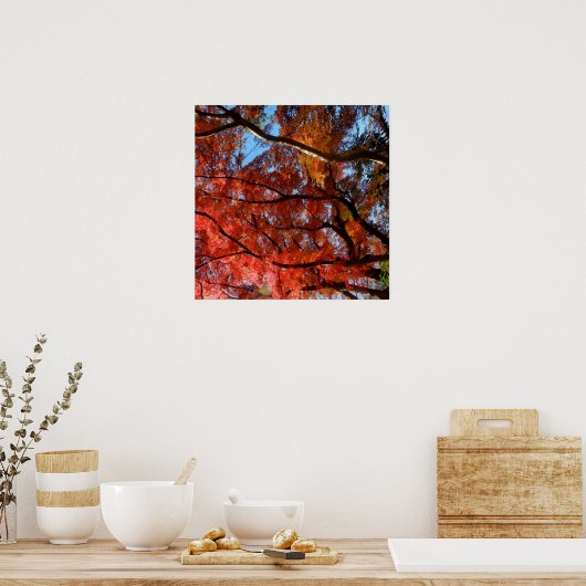 Japanese Maple Poster (Küche)