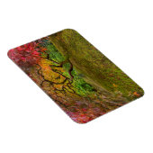 Japanese maple tree in autumn color magnet (Rechte Seite)