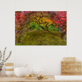 Japanese maple tree in autumn color poster (Küche)