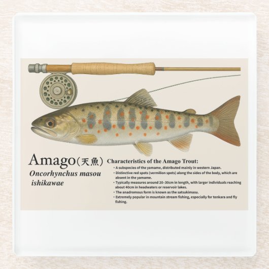 Japanese Native Trout – Amago Glasuntersetzer (Vorderseite)