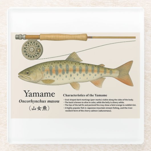 Japanese Native Trout – Yamame  Glasuntersetzer (Vorderseite)