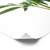 Japanese Peony Fotodruck (Ecke)