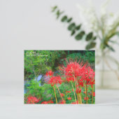 JAPANESE SHANGRI-LA [Postcard] Postkarte (Stehend Vorderseite)