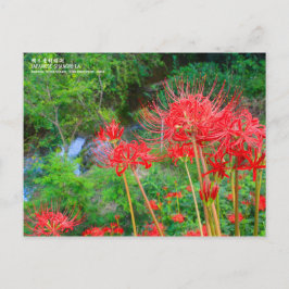 JAPANESE SHANGRI-LA [Postcard] Postkarte