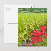 JAPANESE SHANGRI-LA [Postcard] Postkarte (Vorne/Hinten)