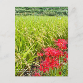 JAPANESE SHANGRI-LA [Postcard] Postkarte