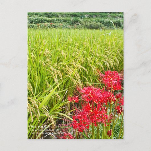 JAPANESE SHANGRI-LA [Postcard] Postkarte (Vorderseite)