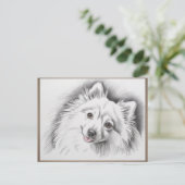 Japanese Spitz Dog Breed Sketch Illustration Postkarte (Stehend Vorderseite)