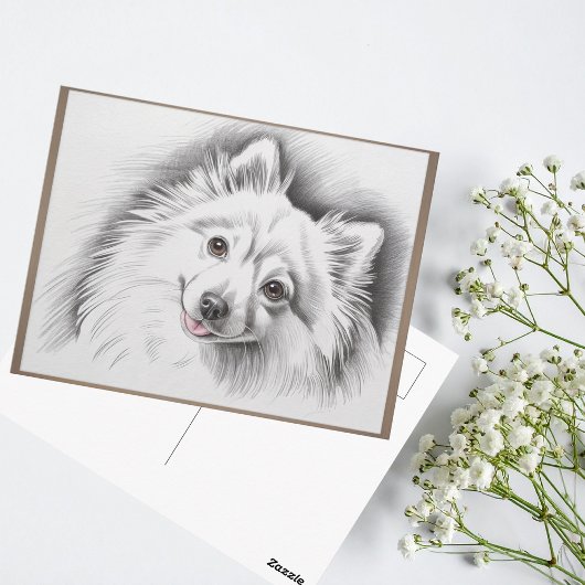 Japanese Spitz Dog Breed Sketch Illustration Postkarte