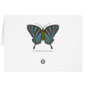 Japanese Swallowtail Card (Rückseite Horizontal)